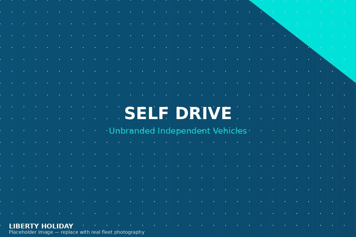 Self Drive